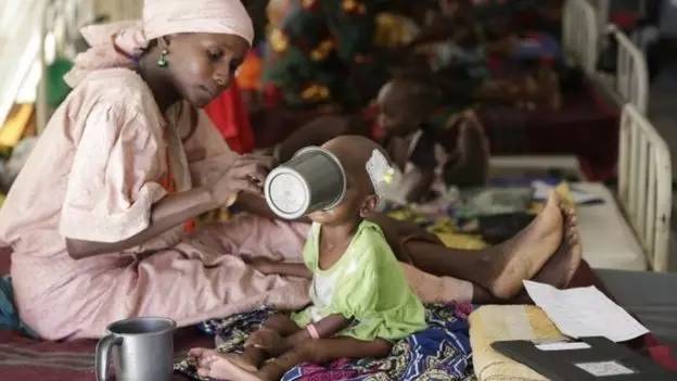 在尼日利亚东北部的伊斯兰极端组织的活动使该地区处于饥荒边缘。