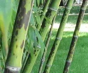 这45个文学典故，你不得不知！