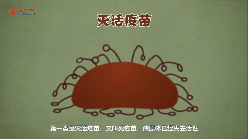 科技战疫系列动画③疫苗研发为何要“兵分多路”作战？