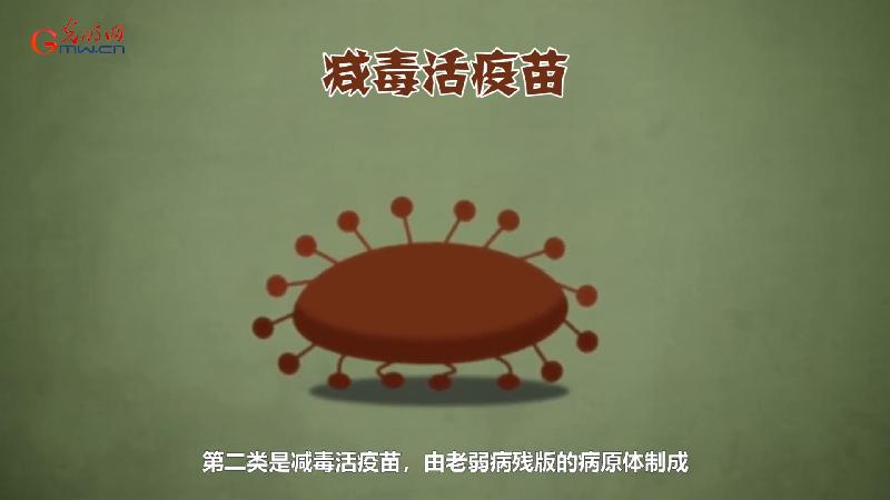 科技战疫系列动画③疫苗研发为何要“兵分多路”作战？