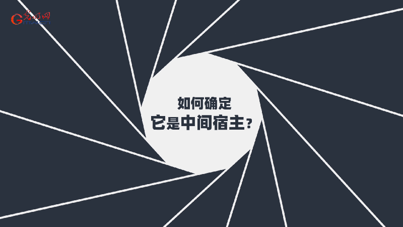 科技战疫系列动画①新冠肺炎中间宿主之谜 为什么一定要找到它？