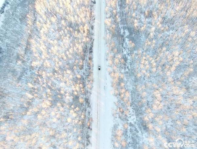 图为1月5日，内蒙古呼伦贝尔边境管理支队室韦、太平边境派出所民警冒着-40℃极寒踏查边境一线。（石昌廷 吕昊俊）