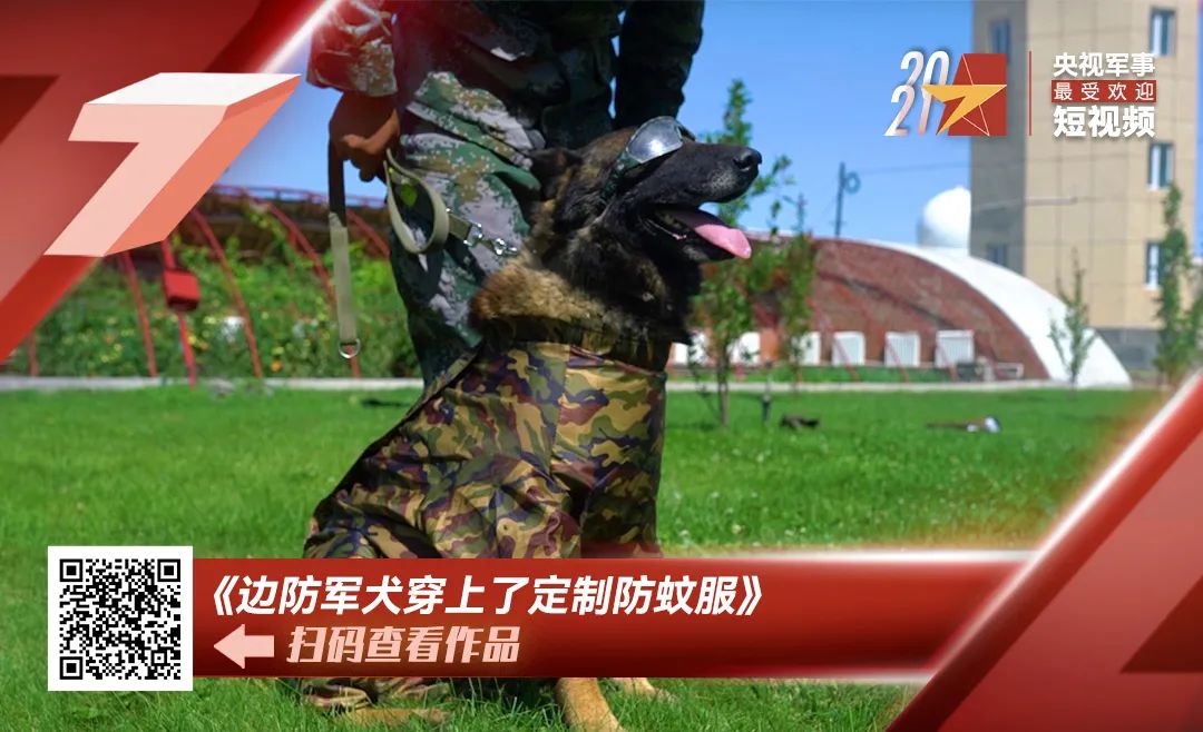 這條視頻被5923個公眾號轉(zhuǎn)載，你看到了什么？