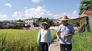 新华全媒+｜董保柱：致力水稻研究40年（组图）