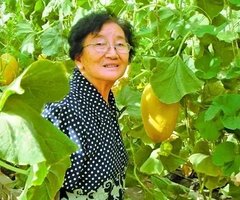 94岁的吴明珠奶奶，回新疆吃西瓜了！网友纷纷留言（组图）
