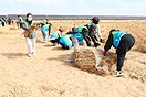 报效祖国 建功西部丨防沙治沙“新青年” 大漠深处“绘绿洲”（2图）