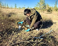 报效祖国 建功西部丨20多年青春接力——这群年轻人在荒漠构筑“绿色长城”（4图）