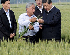 学习进行时丨是贡献，也是奉献——习近平总书记和河南的故事（4图）