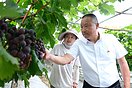 党旗在基层一线高高飘扬丨退伍军人当书记，带出一个亿元村（2图）