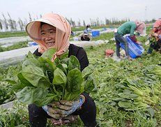 智库报告解析中国巩固拓展脱贫攻坚成果的实践与理论创新（组图）