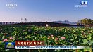 【新思想引领新征程】文化的力量——习近平文化思想在浙江的溯源与实践（组图）