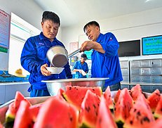 唠“科”话｜“宅家”也会中暑？“室内中暑”要当心！（3图）