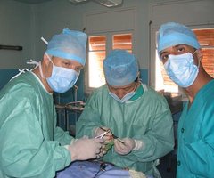 从地中海沿岸到昆仑山北麓，跨越万里的守护（3图）