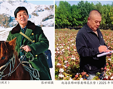 瞭望·治国理政纪事丨用好兵团精神宝贵财富（组图）
